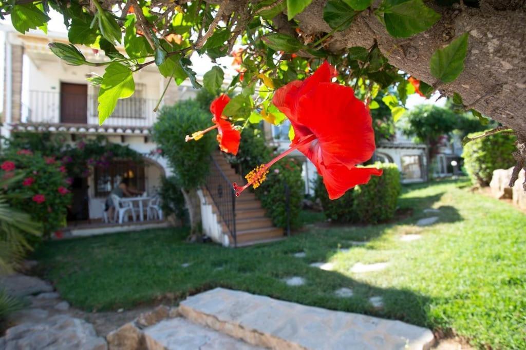 شقة Casa En Denia Con Piscina Y Jardin المظهر الخارجي الصورة