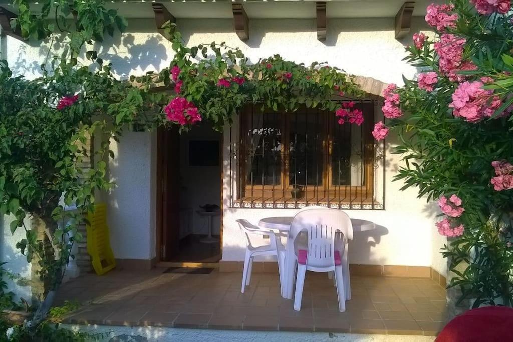 شقة Casa En Denia Con Piscina Y Jardin المظهر الخارجي الصورة